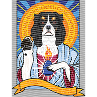 Animal Integration-DW 1092